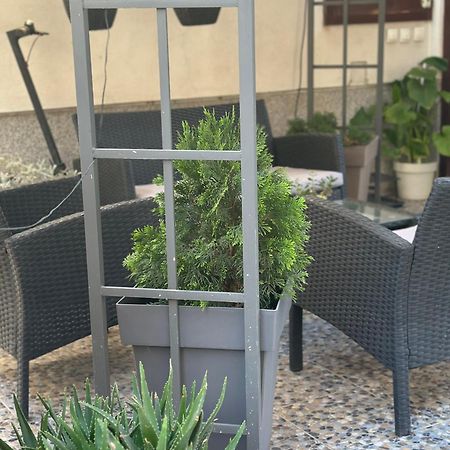 Lilyy Apartment Leskovac  Ngoại thất bức ảnh