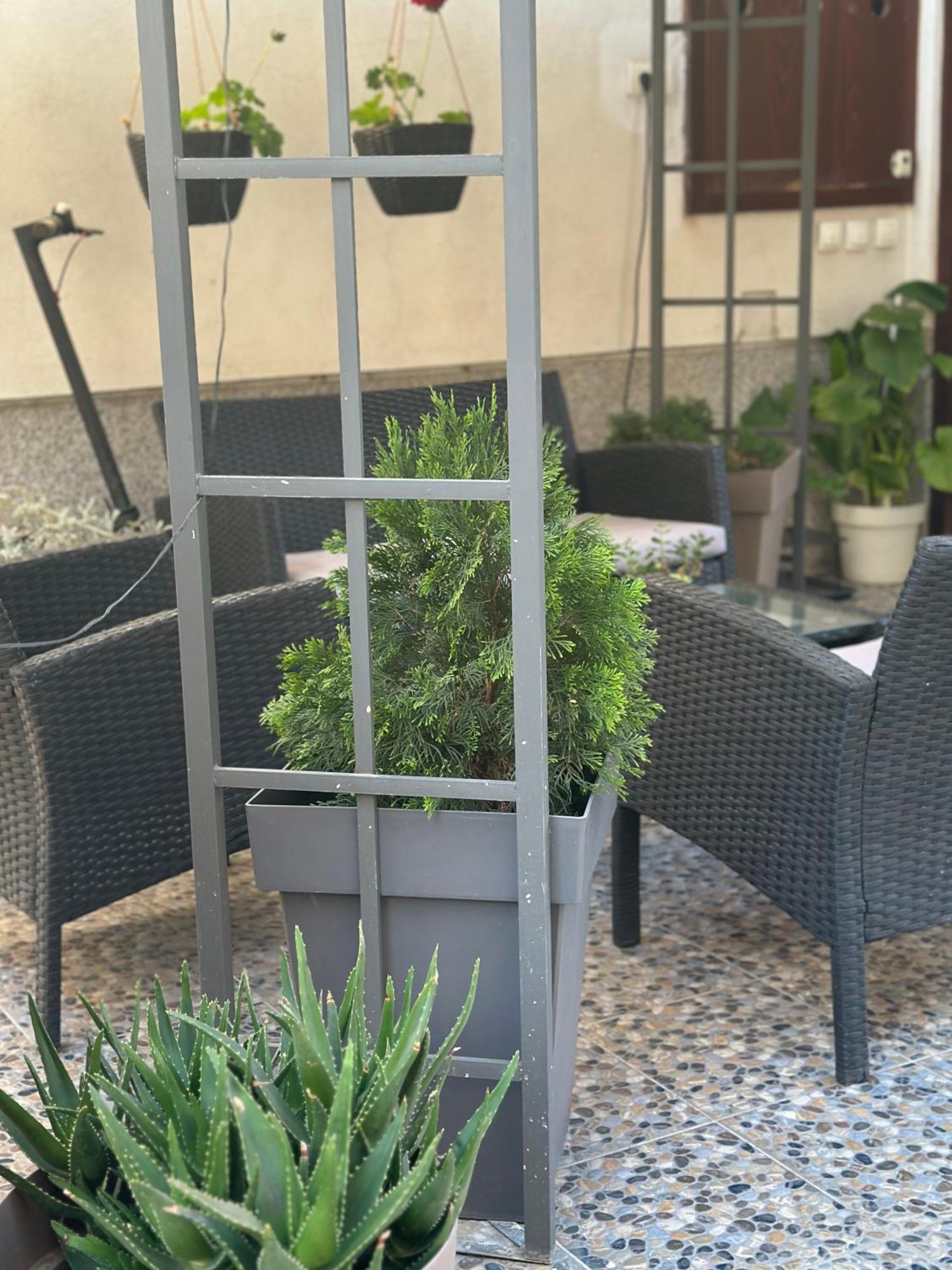 Lilyy Apartment Leskovac  Ngoại thất bức ảnh