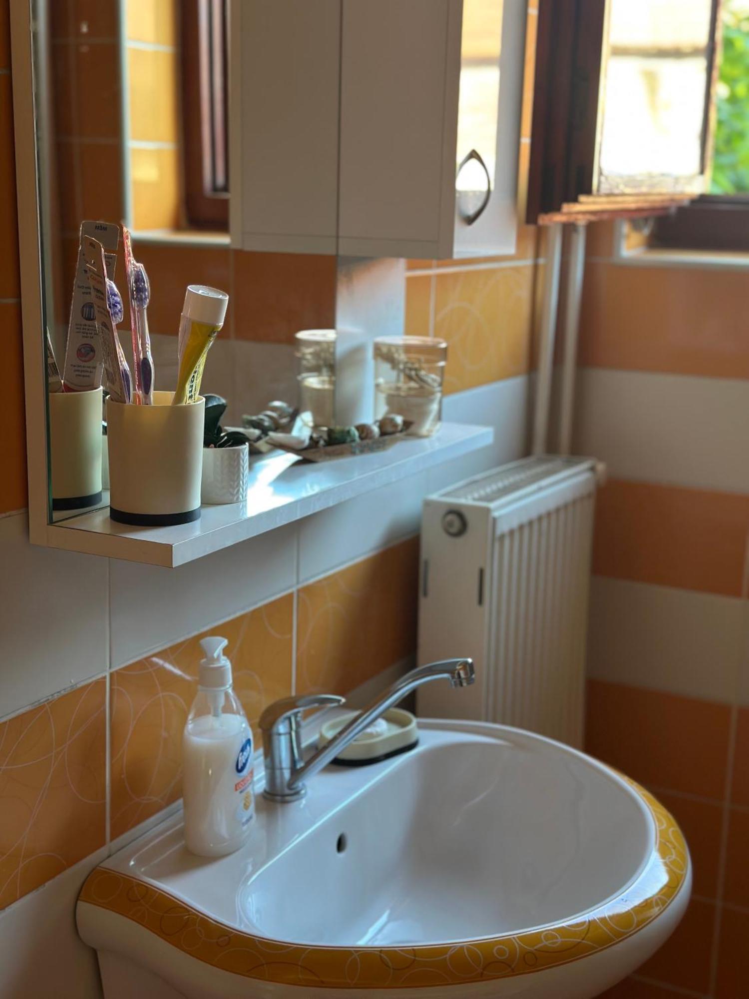 Lilyy Apartment Leskovac  Ngoại thất bức ảnh