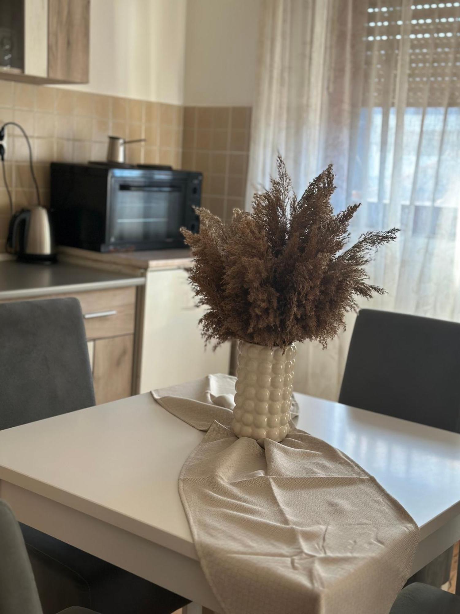 Lilyy Apartment Leskovac  Ngoại thất bức ảnh